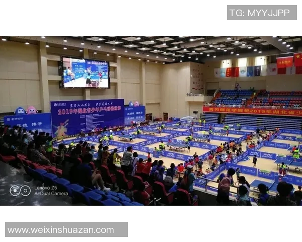 乒乓球盛宴揭秘重庆乒乓球队的训练与竞技状态全景分析