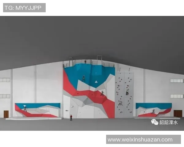 南京极限运动队进攻策略分析与得失总结探讨