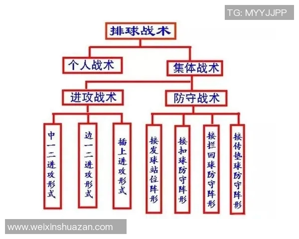 从零基础到高手:全面掌握排球配合技巧与战术解析 从零基础到高手:全面掌握排球配合技巧与战术解析
