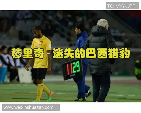 广州网球队状态揭秘：网球巨献背后的训练与挑战
