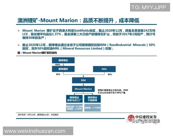 杭州篮球队速度分析与战术应用的深度探讨与展望