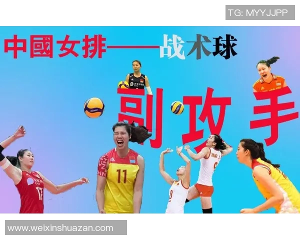 上海排球队整体压制打法的深度分析与战术解读