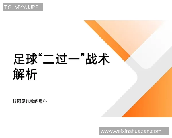 张丽独家揭秘：深入解析足球技巧与战术的心得分享