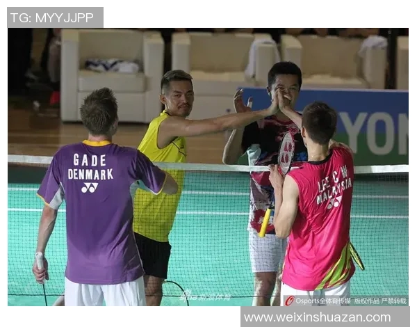 陶菲克与林丹2005年巅峰对决回顾：羽坛传奇的激烈碰撞与辉煌瞬间