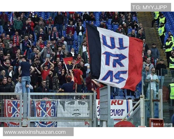 纽卡斯尔与墨尔本的精彩对决揭示足球魅力与激情的碰撞