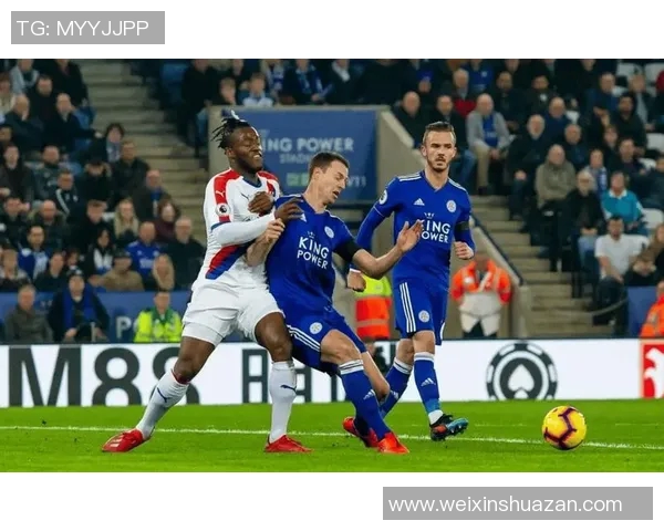 西布罗姆维奇迎战莱切期待一场精彩的足球对决与激情碰撞