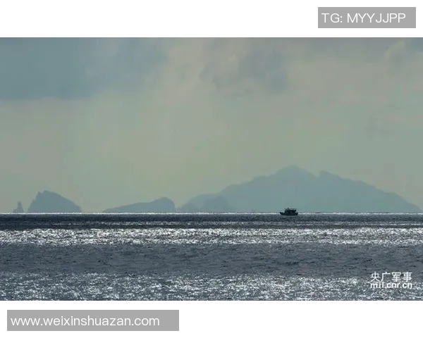 空中巴与海于松的较量：谁能在现代交通中脱颖而出