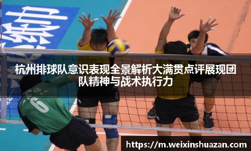 杭州排球队意识表现全景解析大满贯点评展现团队精神与战术执行力